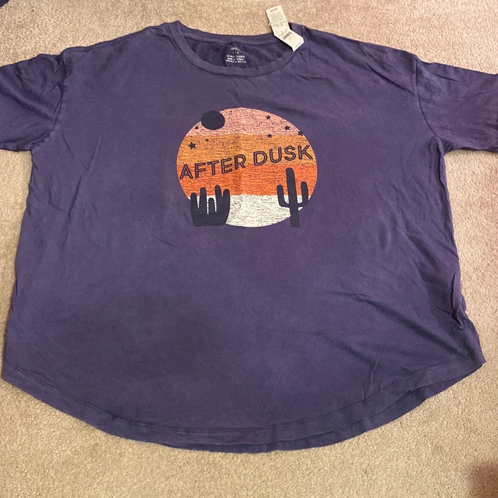 🌸 NWT Aerie graphic boyfriend t shirt! Size large!